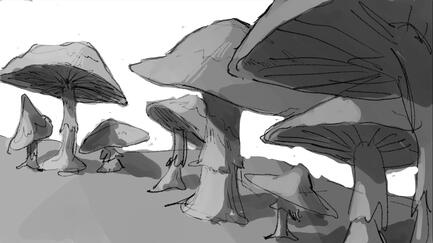 Color Test 2 Color Test 2